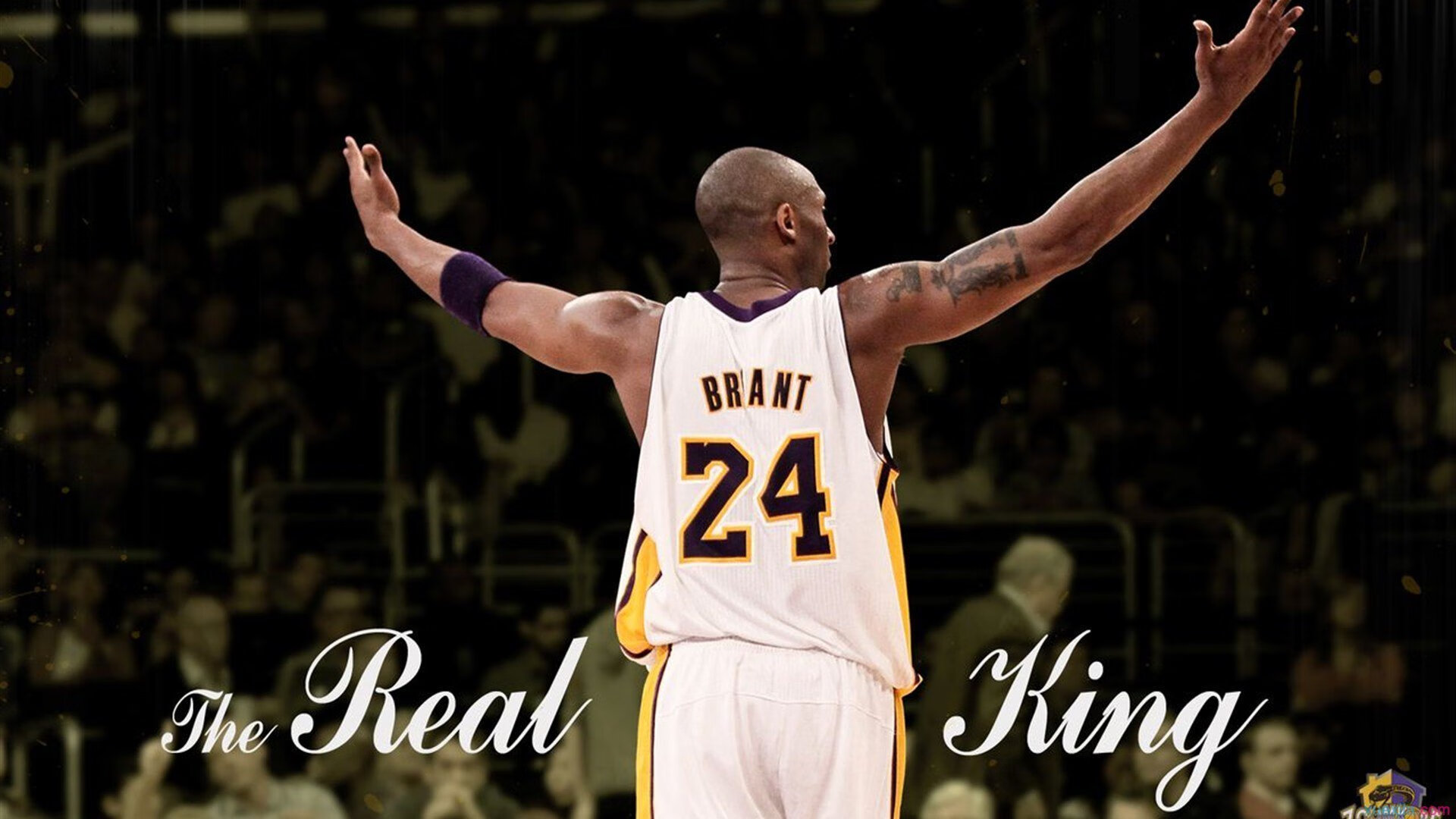 国内联赛MVP候选名单揭晓,老将与新秀并列热门,mvp球队战绩