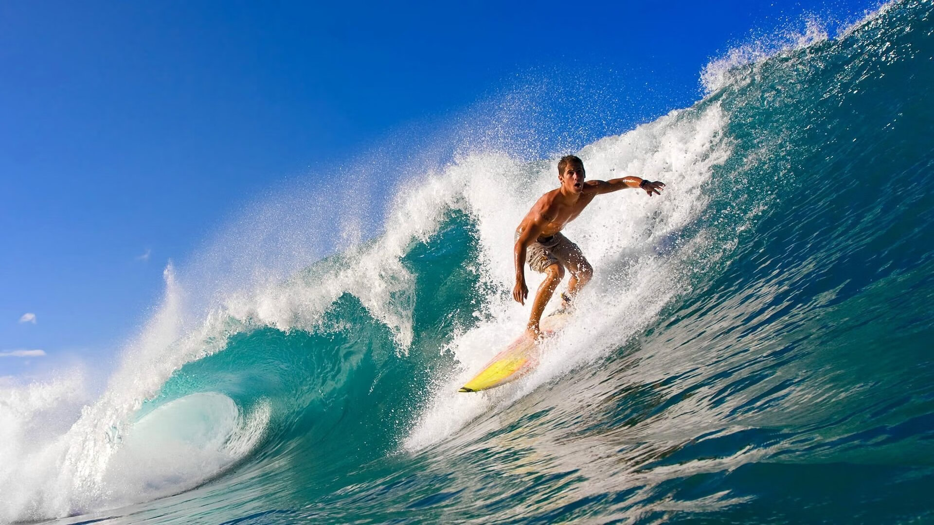华体会app评价-冬季运动学院成立，推动冰雪项目人才培养，冰雪运动专业学校